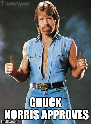 chuck norris approves | CHUCK NORRIS APPROVES | image tagged in chuck norris approves | made w/ Imgflip meme maker