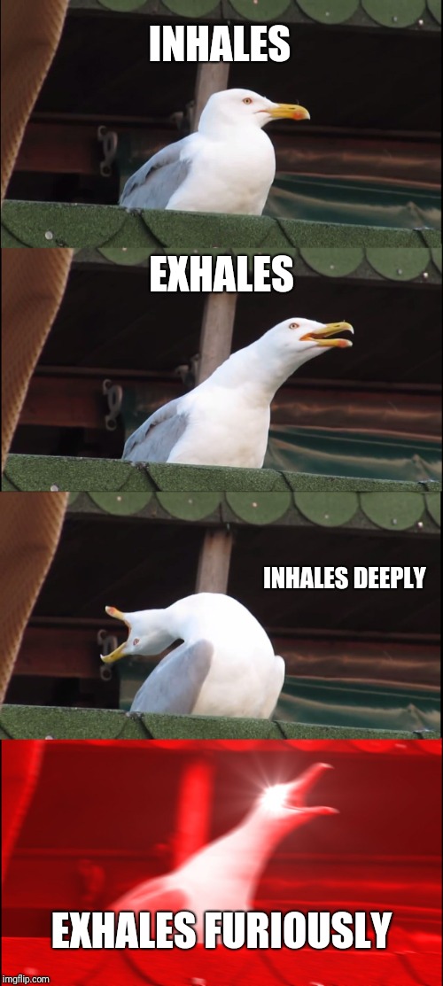 Inhaling Seagull Meme | INHALES; EXHALES; INHALES DEEPLY; EXHALES FURIOUSLY | image tagged in memes,inhaling seagull | made w/ Imgflip meme maker