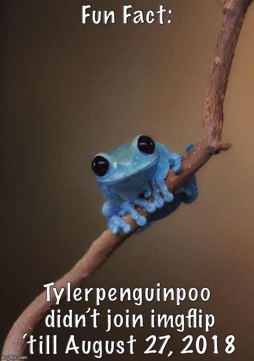 Fun fact frog | Fun Fact: Tylerpenguinpoo didn’t join imgflip ‘till August 27, 2018 | image tagged in fun fact frog | made w/ Imgflip meme maker