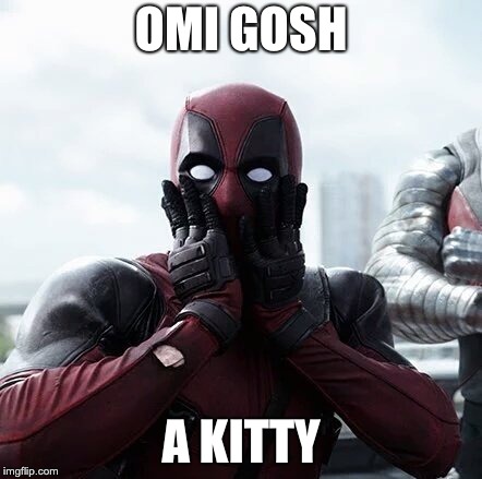 Deadpool Surprised | OMI GOSH; A KITTY | image tagged in memes,deadpool surprised | made w/ Imgflip meme maker