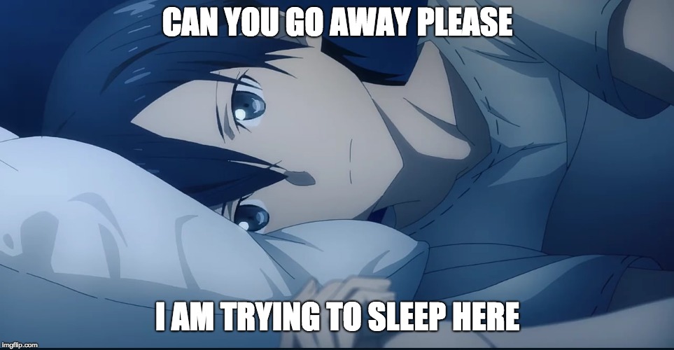 no | CAN YOU GO AWAY PLEASE; I AM TRYING TO SLEEP HERE | image tagged in sao,kirito,kirito sword art online | made w/ Imgflip meme maker
