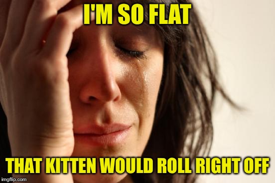 First World Problems Meme | I'M SO FLAT THAT KITTEN WOULD ROLL RIGHT OFF | image tagged in memes,first world problems | made w/ Imgflip meme maker