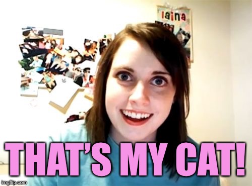 Overly Attached Girlfriend Meme | THAT’S MY CAT! | image tagged in memes,overly attached girlfriend | made w/ Imgflip meme maker