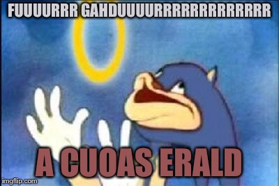 Sonic derp | FUUUURRR GAHDUUUURRRRRRRRRRRRR; A CUOAS ERALD | image tagged in sonic derp | made w/ Imgflip meme maker