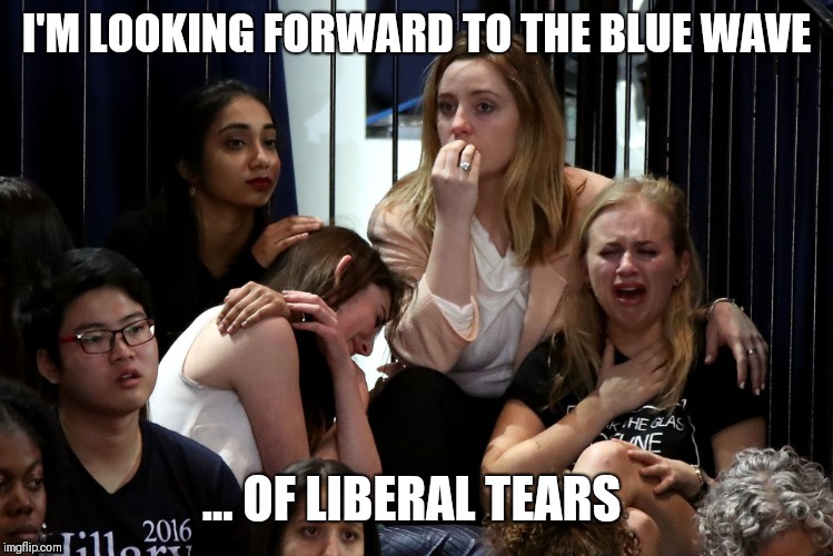 Liberals Crying | I'M LOOKING FORWARD TO THE BLUE WAVE ... OF LIBERAL TEARS | image tagged in liberals crying | made w/ Imgflip meme maker