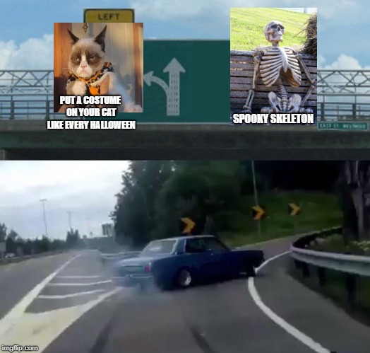 Car Drift Meme | SPOOKY SKELETON; PUT A COSTUME ON YOUR CAT LIKE EVERY HALLOWEEN | image tagged in car drift meme | made w/ Imgflip meme maker