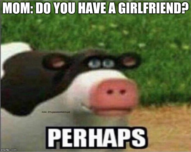 Perhaps Cow | MOM: DO YOU HAVE A GIRLFRIEND? | image tagged in perhaps cow | made w/ Imgflip meme maker