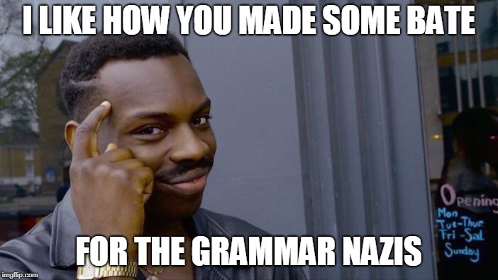 Roll Safe Think About It Meme | I LIKE HOW YOU MADE SOME BATE FOR THE GRAMMAR NAZIS | image tagged in memes,roll safe think about it | made w/ Imgflip meme maker