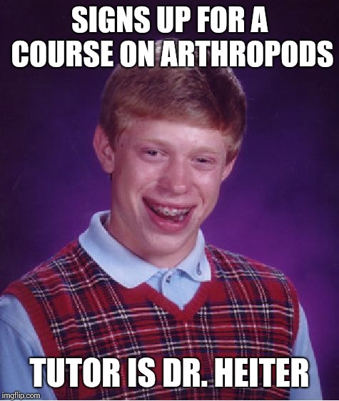 Bad Luck Brian Meme | SIGNS UP FOR A COURSE ON ARTHROPODS; TUTOR IS DR. HEITER | image tagged in memes,bad luck brian | made w/ Imgflip meme maker