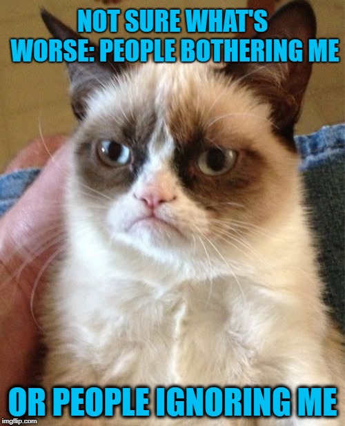 Never Satisfied  | NOT SURE WHAT'S WORSE: PEOPLE BOTHERING ME; OR PEOPLE IGNORING ME | image tagged in memes,grumpy cat,unhappy,cat | made w/ Imgflip meme maker
