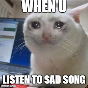 Crying cat | WHEN U; LISTEN TO SAD SONG | image tagged in crying cat,scumbag | made w/ Imgflip meme maker