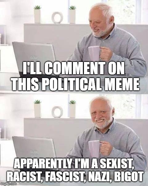 Don't Bother With A Comment | I'LL COMMENT ON THIS POLITICAL MEME; APPARENTLY I'M A SEXIST, RACIST, FASCIST, NAZI, BIGOT | image tagged in memes,hide the pain harold | made w/ Imgflip meme maker