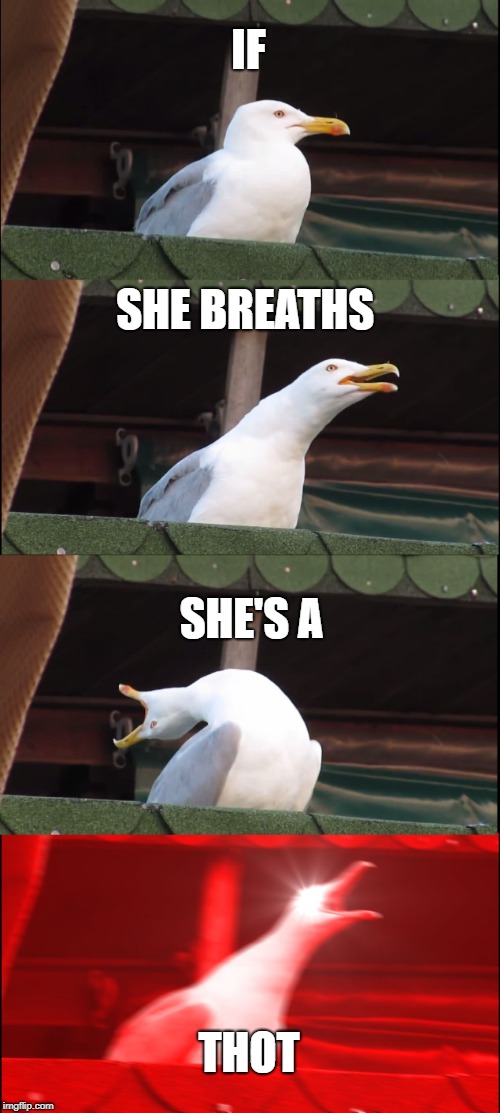 Inhaling Seagull | IF; SHE BREATHS; SHE'S A; THOT | image tagged in memes,inhaling seagull | made w/ Imgflip meme maker