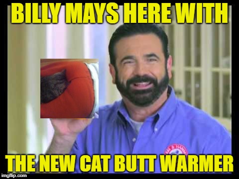 BILLY MAYS HERE WITH THE NEW CAT BUTT WARMER | made w/ Imgflip meme maker