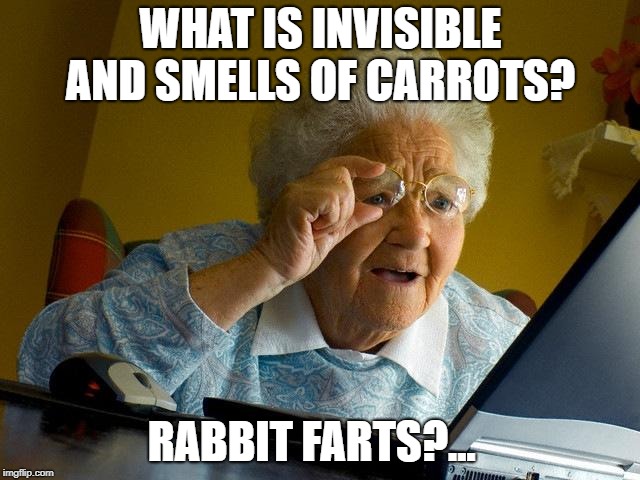 Grandma Finds The Internet Meme | WHAT IS INVISIBLE AND SMELLS OF CARROTS? RABBIT FARTS?... | image tagged in memes,grandma finds the internet | made w/ Imgflip meme maker
