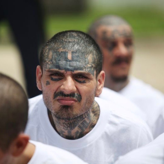 High Quality MS-13 Squint Blank Meme Template