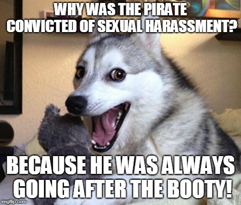 WHY WAS THE PIRATE CONVICTED OF SEXUAL HARASSMENT? BECAUSE HE WAS ALWAYS GOING AFTER THE BOOTY! | made w/ Imgflip meme maker