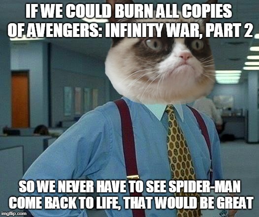 That Would Be Great Meme | IF WE COULD BURN ALL COPIES OF AVENGERS: INFINITY WAR, PART 2 SO WE NEVER HAVE TO SEE SPIDER-MAN COME BACK TO LIFE, THAT WOULD BE GREAT | image tagged in memes,that would be great | made w/ Imgflip meme maker