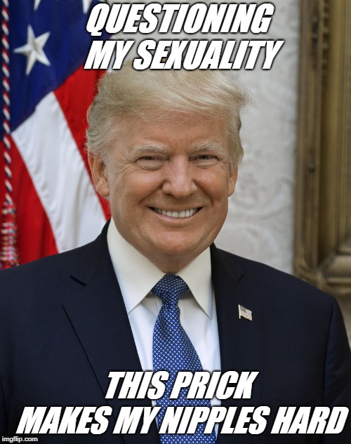 President Trump | QUESTIONING MY SEXUALITY; THIS PRICK MAKES MY NIPPLES HARD | image tagged in president trump | made w/ Imgflip meme maker