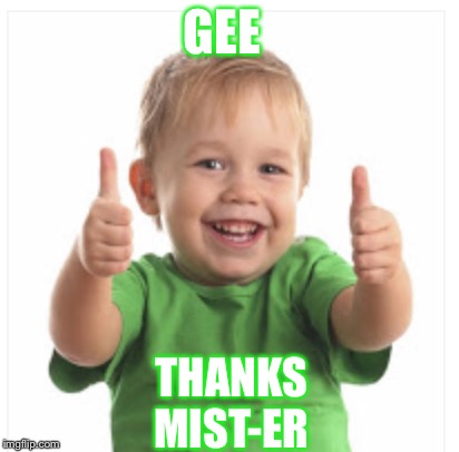 GEE THANKS MIST-ER | made w/ Imgflip meme maker