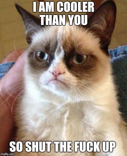 Grumpy Cat Meme | I AM COOLER THAN YOU SO SHUT THE F**K UP | image tagged in memes,grumpy cat | made w/ Imgflip meme maker