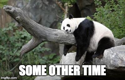 lazy panda | SOME OTHER TIME | image tagged in lazy panda | made w/ Imgflip meme maker