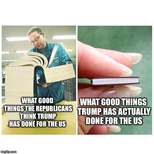 Big book vs Little Book | WHAT GOOD THINGS TRUMP HAS ACTUALLY DONE FOR THE US; WHAT GOOD THINGS THE REPUBLICANS THINK TRUMP HAS DONE FOR THE US | image tagged in big book vs little book | made w/ Imgflip meme maker
