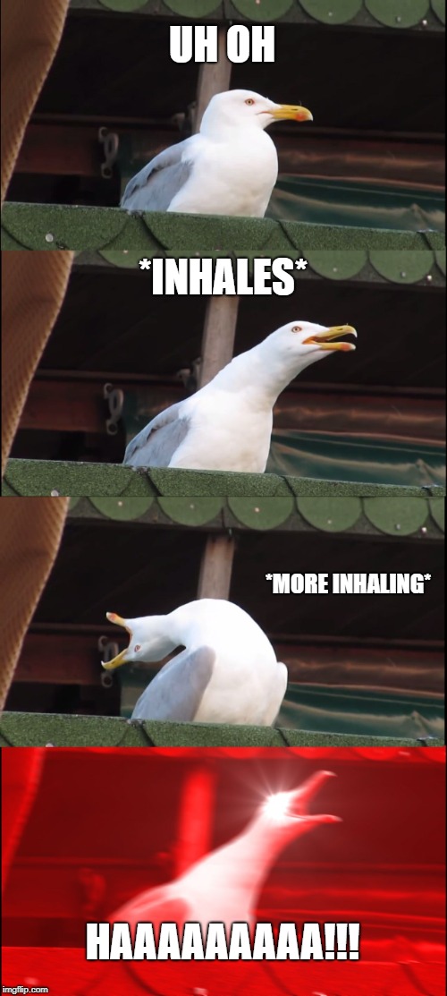 Inhaling Seagull | UH OH; *INHALES*; *MORE INHALING*; HAAAAAAAAA!!! | image tagged in memes,inhaling seagull | made w/ Imgflip meme maker