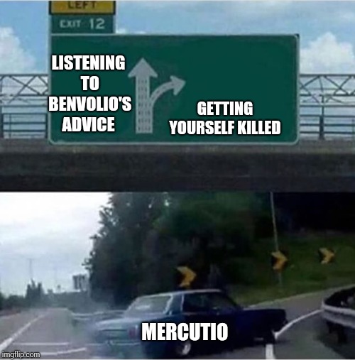 Car turning  | LISTENING TO BENVOLIO'S ADVICE; GETTING YOURSELF KILLED; MERCUTIO | image tagged in car turning | made w/ Imgflip meme maker