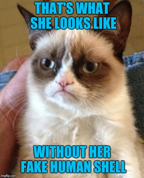 Grumpy Cat Meme | THAT'S WHAT SHE LOOKS LIKE WITHOUT HER FAKE HUMAN SHELL | image tagged in memes,grumpy cat | made w/ Imgflip meme maker