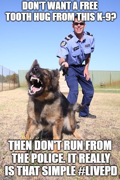 Police dog | DON'T WANT A FREE TOOTH HUG FROM THIS K-9? THEN DON'T RUN FROM THE POLICE. IT REALLY IS THAT SIMPLE #LIVEPD | image tagged in police dog | made w/ Imgflip meme maker