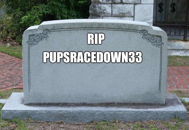 Blank Tombstone | PUPSRACEDOWN33; RIP | image tagged in blank tombstone | made w/ Imgflip meme maker