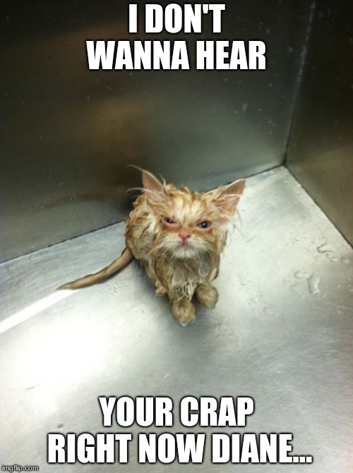 Kill You Cat | I DON'T WANNA HEAR; YOUR CRAP RIGHT NOW DIANE... | image tagged in memes,kill you cat | made w/ Imgflip meme maker
