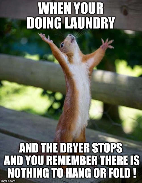 Happy Squirrel | WHEN YOUR DOING LAUNDRY; AND THE DRYER STOPS AND YOU REMEMBER THERE IS  NOTHING TO HANG OR FOLD ! | image tagged in happy squirrel | made w/ Imgflip meme maker