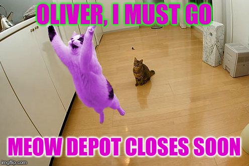 RayCat save the world | OLIVER, I MUST GO MEOW DEPOT CLOSES SOON | image tagged in raycat save the world | made w/ Imgflip meme maker