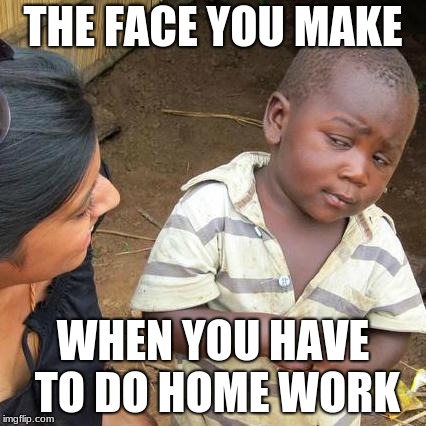 Third World Skeptical Kid Meme | THE FACE YOU MAKE; WHEN YOU HAVE TO DO HOME WORK | image tagged in memes,third world skeptical kid | made w/ Imgflip meme maker
