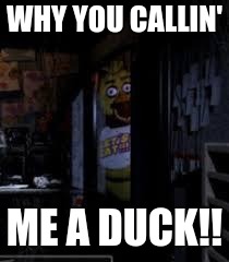 Chica Looking In Window FNAF | WHY YOU CALLIN'; ME A DUCK!! | image tagged in chica looking in window fnaf | made w/ Imgflip meme maker