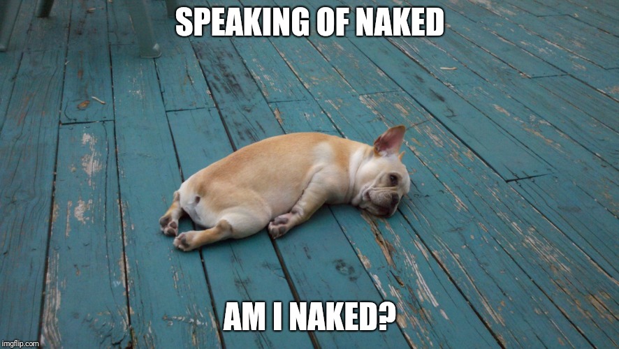 Lazy Dog | SPEAKING OF NAKED AM I NAKED? | image tagged in lazy dog | made w/ Imgflip meme maker