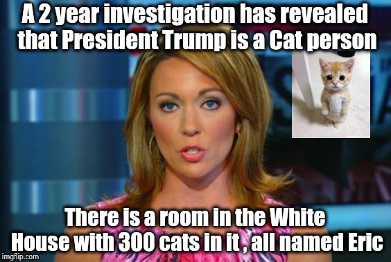 This will really divide the Nation | A 2 year investigation has revealed that President Trump is a Cat person; There is a room in the White House with 300 cats in it , all named Eric | image tagged in real news network,i love cats,cute cats,furry,grumpy cat,cats with guns | made w/ Imgflip meme maker