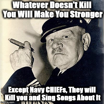 Whatever Doesn't Kill You Will Make You Stronger; Except Navy CHIEFs, They will Kill you and Sing Songs About It | image tagged in c | made w/ Imgflip meme maker