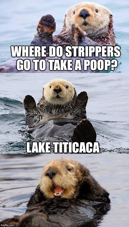 Lol | WHERE DO STRIPPERS GO TO TAKE A POOP? LAKE TITICACA | image tagged in bad pun otter,memes,geography | made w/ Imgflip meme maker