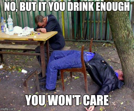NO, BUT IT YOU DRINK ENOUGH YOU WON'T CARE | made w/ Imgflip meme maker