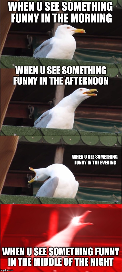 Inhaling Seagull | WHEN U SEE SOMETHING FUNNY IN THE MORNING; WHEN U SEE SOMETHING FUNNY IN THE AFTERNOON; WHEN U SEE SOMETHING FUNNY IN THE EVENING; WHEN U SEE SOMETHING FUNNY IN THE MIDDLE OF THE NIGHT | image tagged in memes,inhaling seagull | made w/ Imgflip meme maker