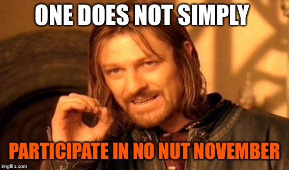 I mean can you really | ONE DOES NOT SIMPLY; PARTICIPATE IN NO NUT NOVEMBER | image tagged in memes,one does not simply,nuts,november | made w/ Imgflip meme maker