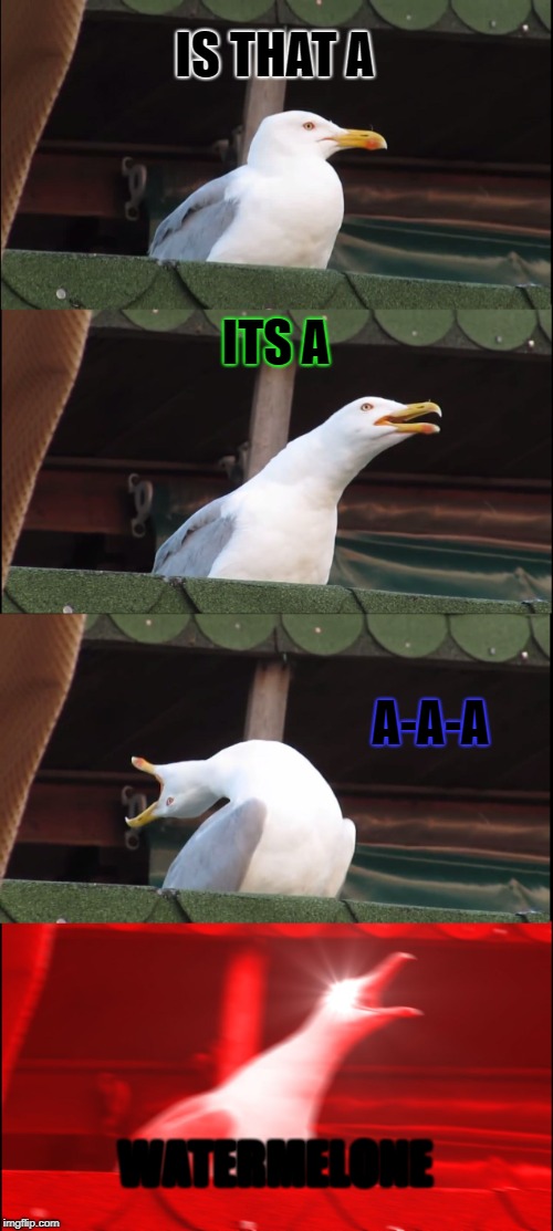 Inhaling Seagull | IS THAT A; ITS A; A-A-A; WATERMELONE | image tagged in memes,inhaling seagull | made w/ Imgflip meme maker