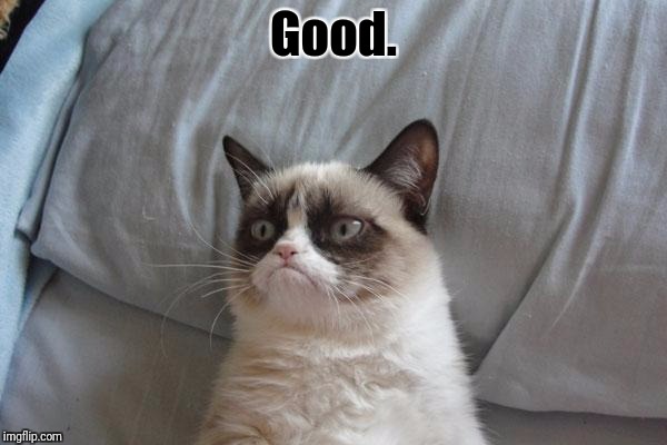 Grumpy Cat Bed Meme | Good. | image tagged in memes,grumpy cat bed,grumpy cat | made w/ Imgflip meme maker