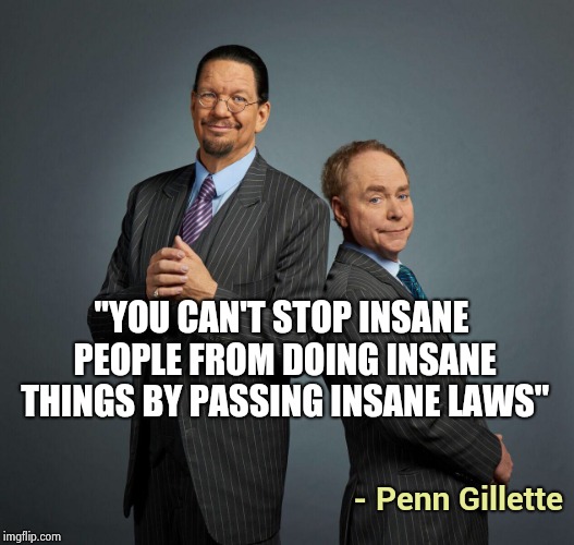 Penn and Teller | "YOU CAN'T STOP INSANE PEOPLE FROM DOING INSANE THINGS BY PASSING INSANE LAWS" - Penn Gillette | image tagged in penn and teller | made w/ Imgflip meme maker