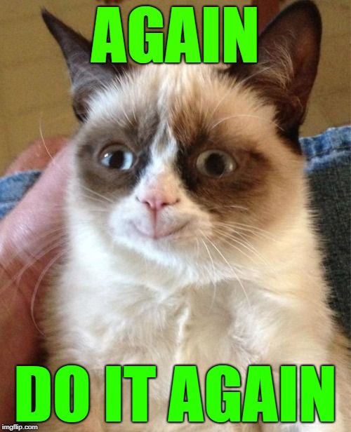 Grumpy Cat Happy Meme | AGAIN DO IT AGAIN | image tagged in memes,grumpy cat happy,grumpy cat | made w/ Imgflip meme maker