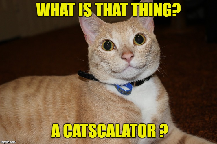 WHAT IS THAT THING? A CATSCALATOR ? | made w/ Imgflip meme maker