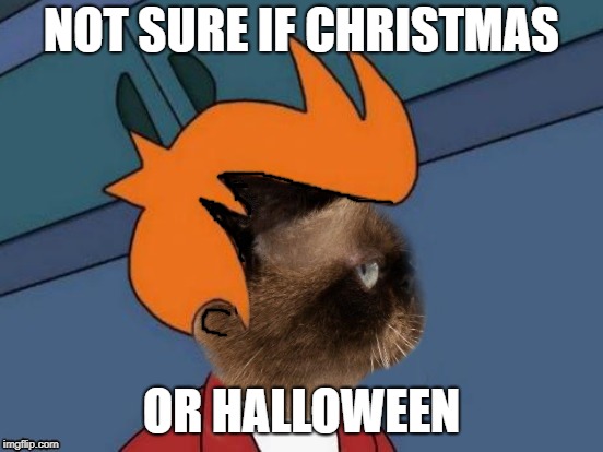 NOT SURE IF CHRISTMAS OR HALLOWEEN | made w/ Imgflip meme maker